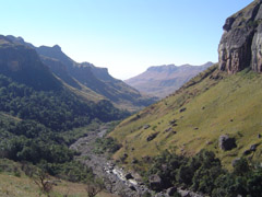 view_berg